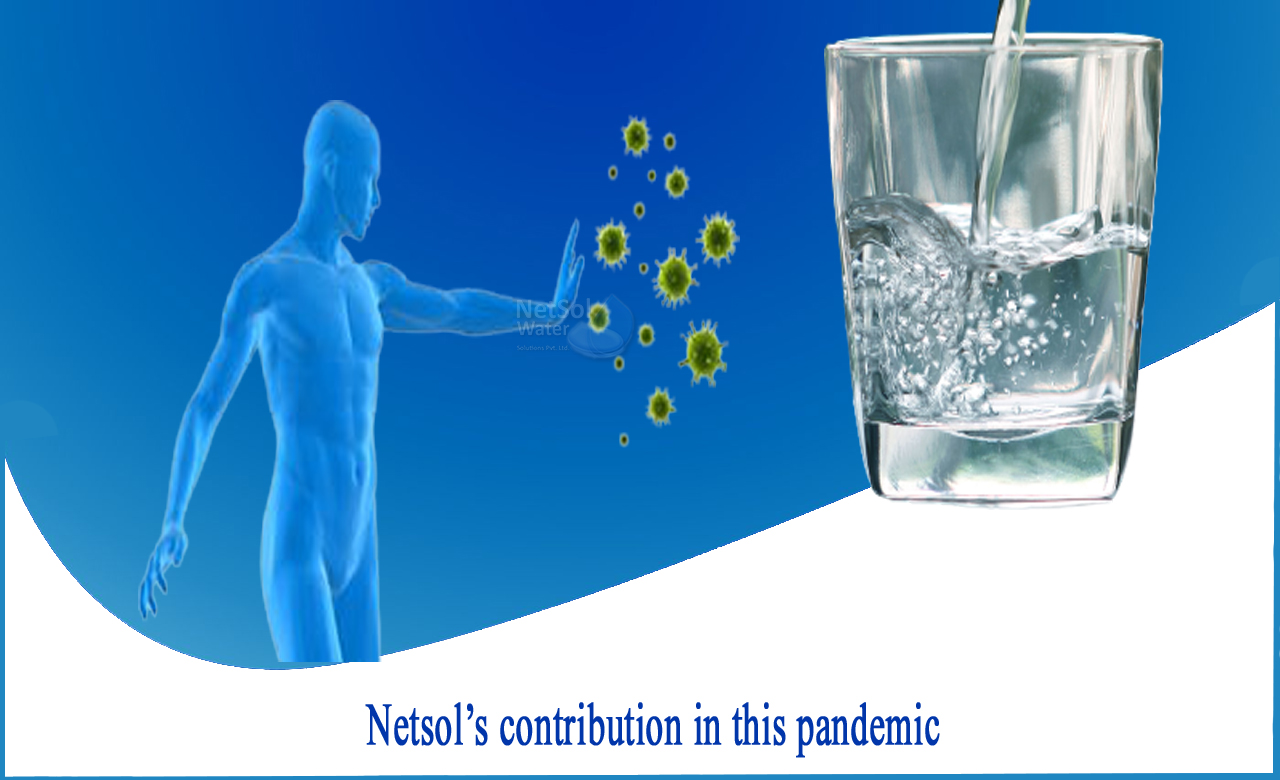  Netsol's contribution, pandemic, 